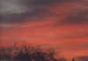 Sunrise Nov 13.jpg (13747 bytes)