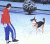 catch a snowball.jpg (43611 bytes)
